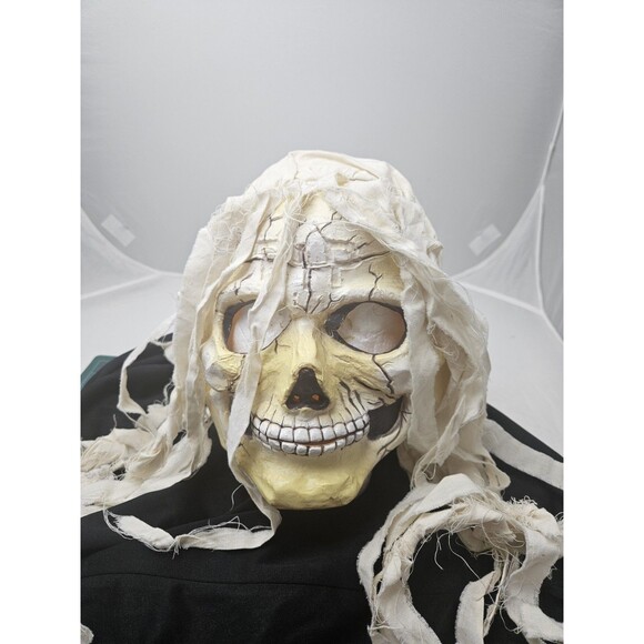 Vintage FUN WORLD DIV RIP Skull Skeleton Mask Long White Hair Halloween - Picture 1 of 10